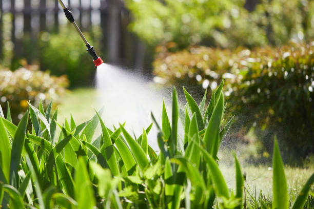 24/7 Emergency Fumigation Services experts in Aransas Pass, TX